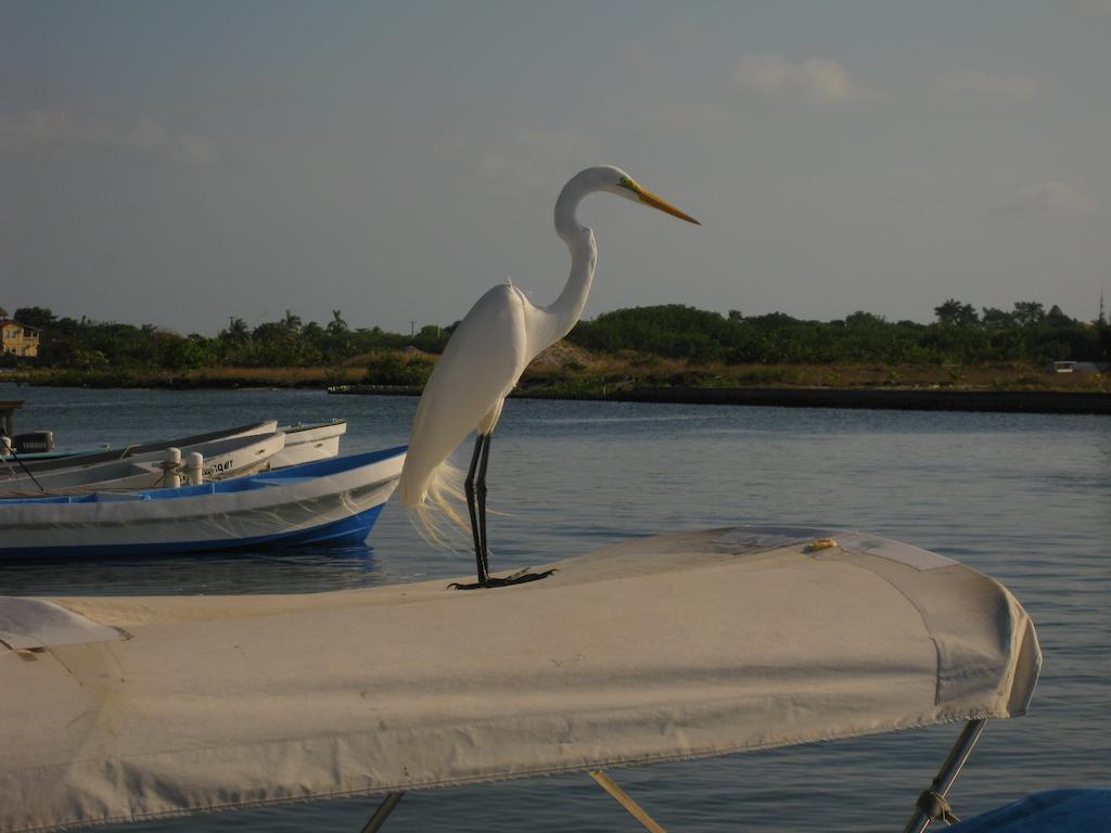Laru Beya Resort Placencia Екстер'єр фото